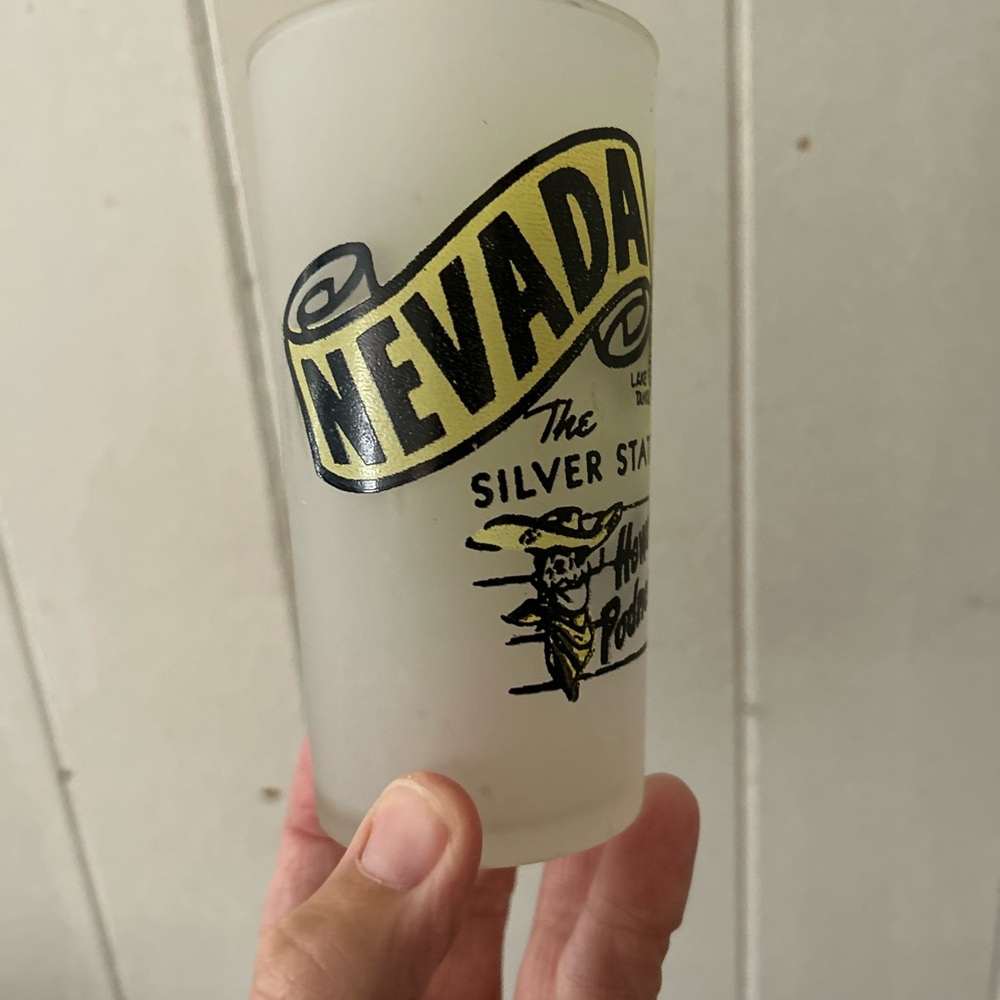 Nevada Frosted Glass Tumbler